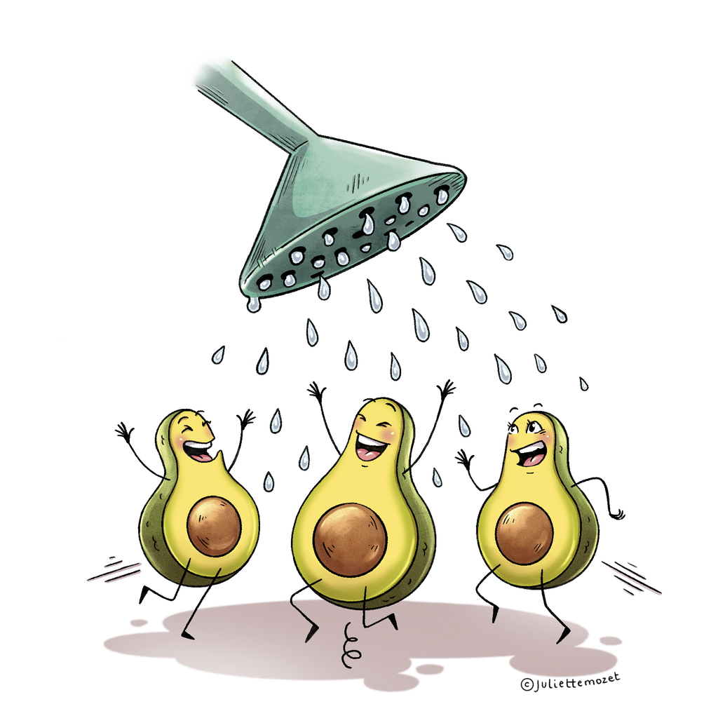 REMUNERATION-couleur-PNG.png